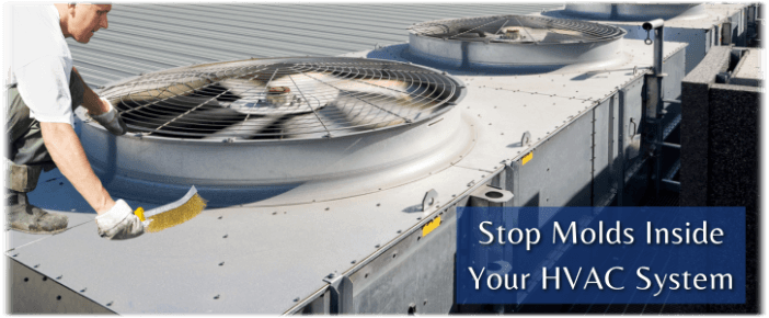 HVAC Mold Removal Marietta GA